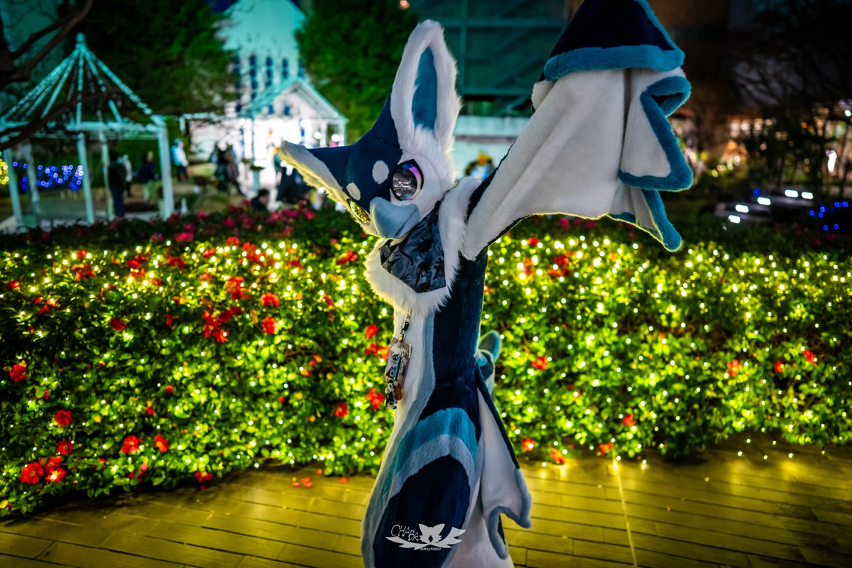 May (Chaba🦉) 🔜Thaitails tweet media