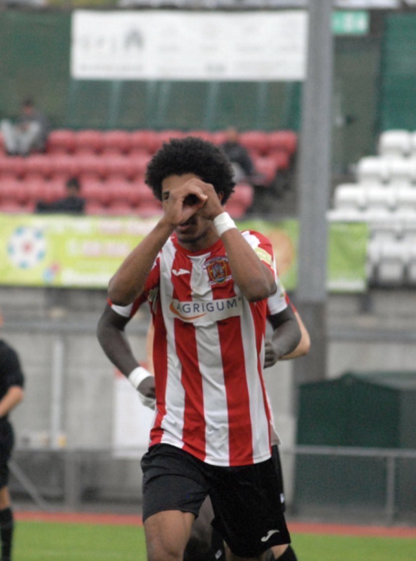 Free Agent Showcase tweet media