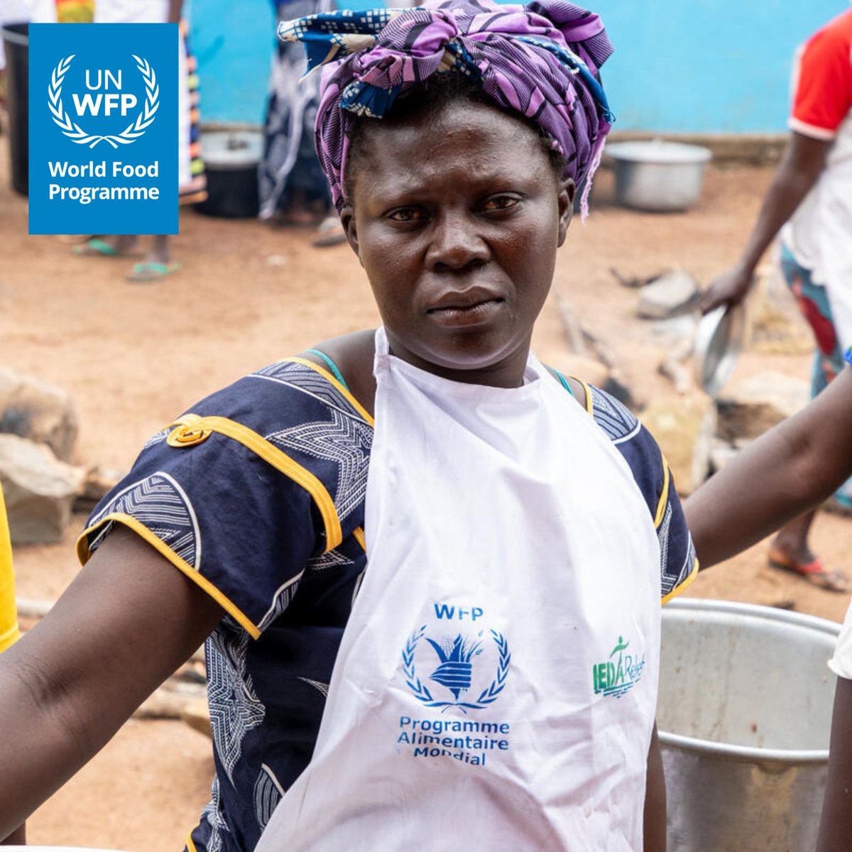 Mark Gordon tweet media