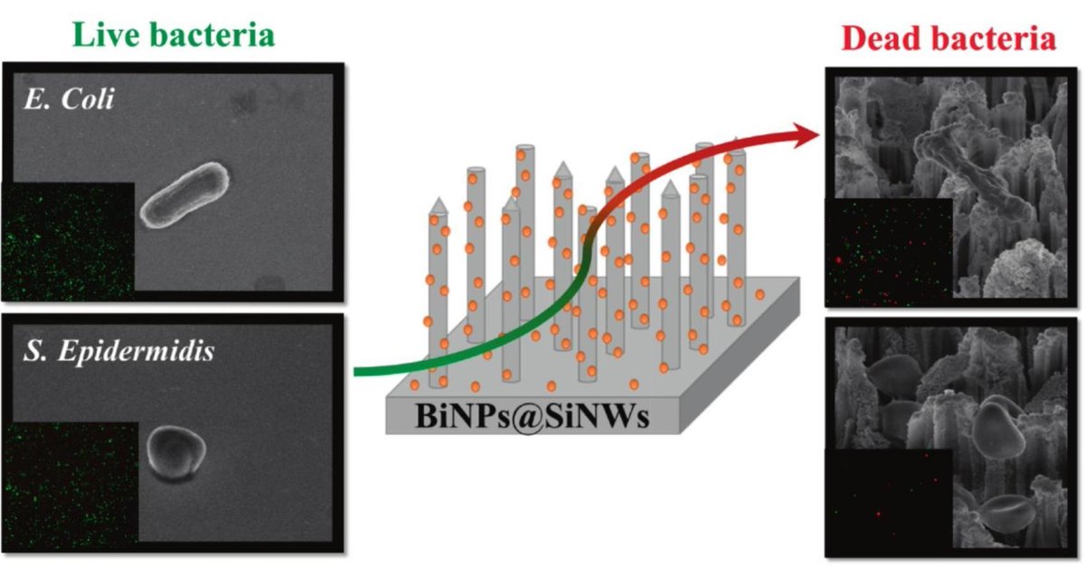 Biomaterials ICTP tweet media