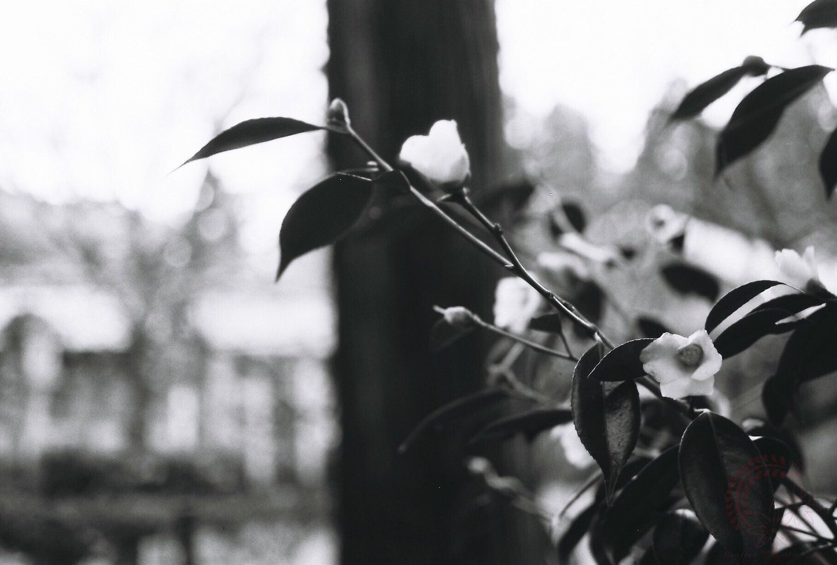 それでは皆さま、おやすみなさいませ(( _ _ ))..zzzZZ