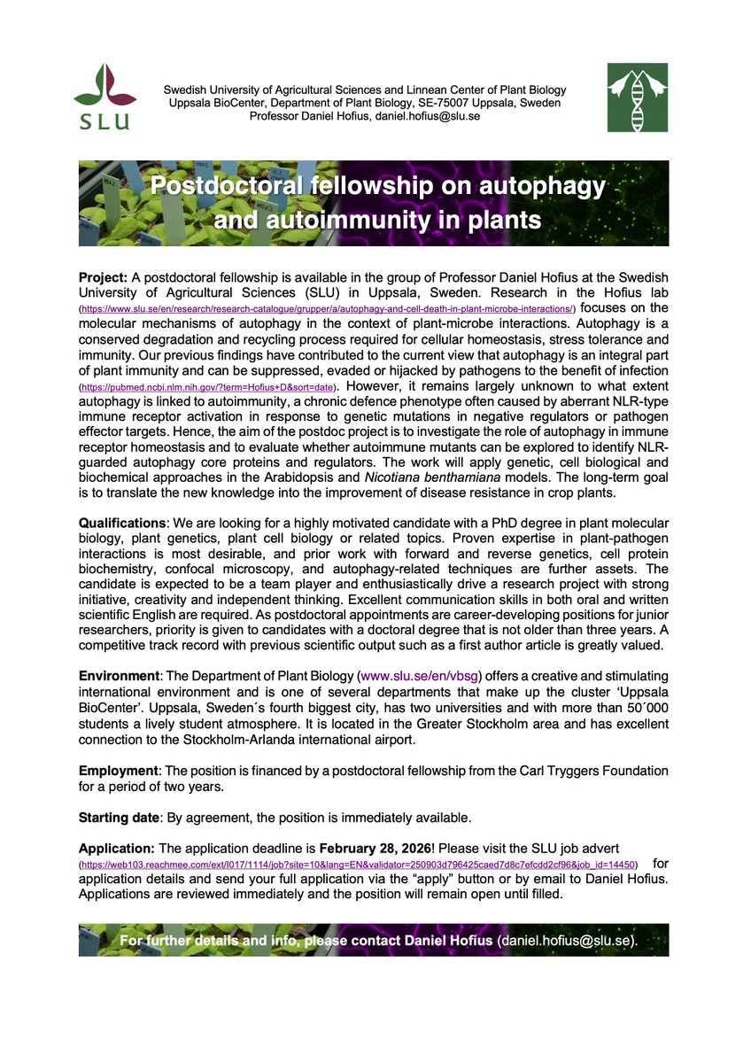 Daniel Hofius tweet media