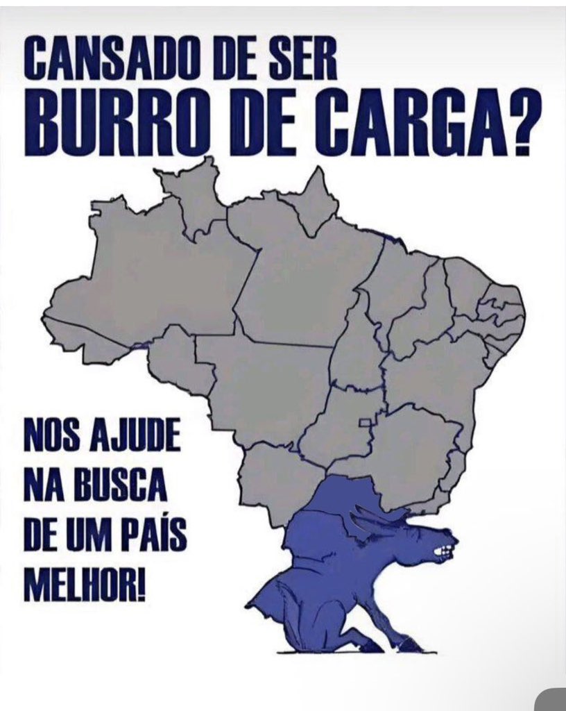 S. CATARINA GREAT AGAIN 😡 tweet media