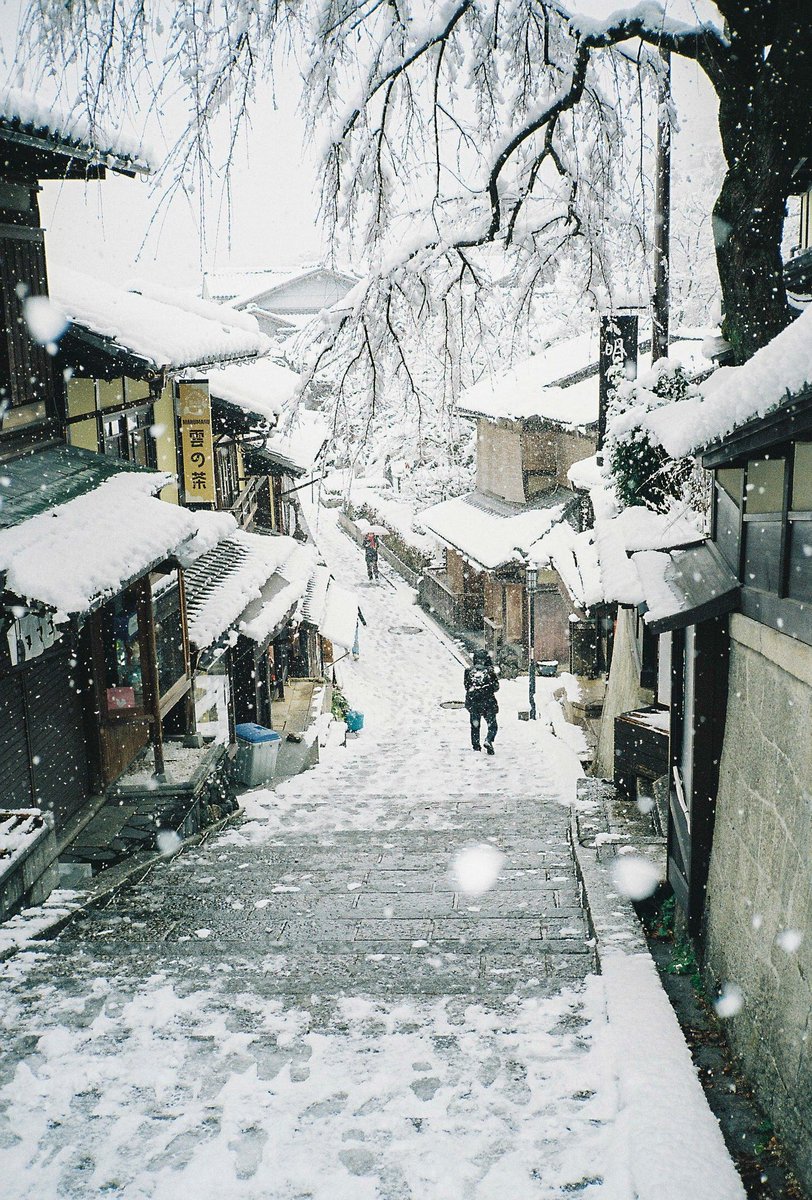 honda_02nh's tweet photo. Kyoto,2022 https://t.co/FSUTAsHbeh
