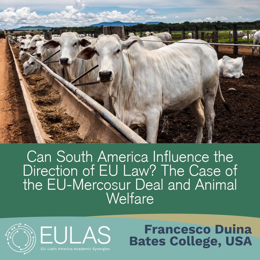 EULAS - Jean Monnet Network tweet media