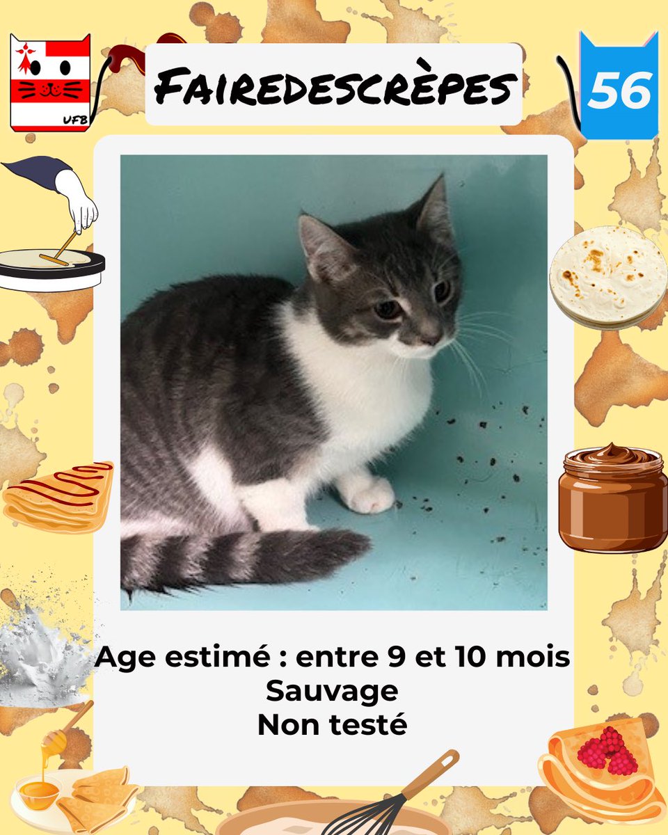 FAIREDESCREPES est SAUVEE
Les formalités sont terminées et sont validées
Elle est ADOPTEE