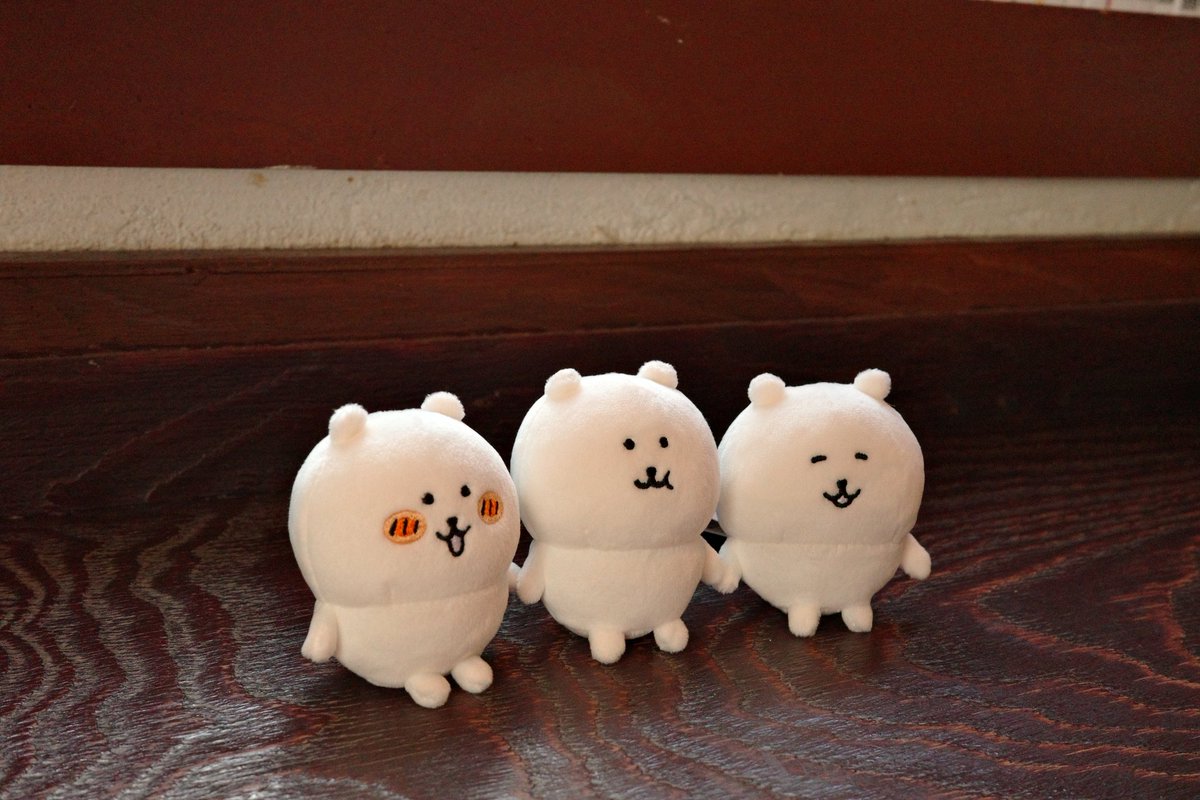 SARABAGOM's tweet image. 세쌍둥이 곰 🥹