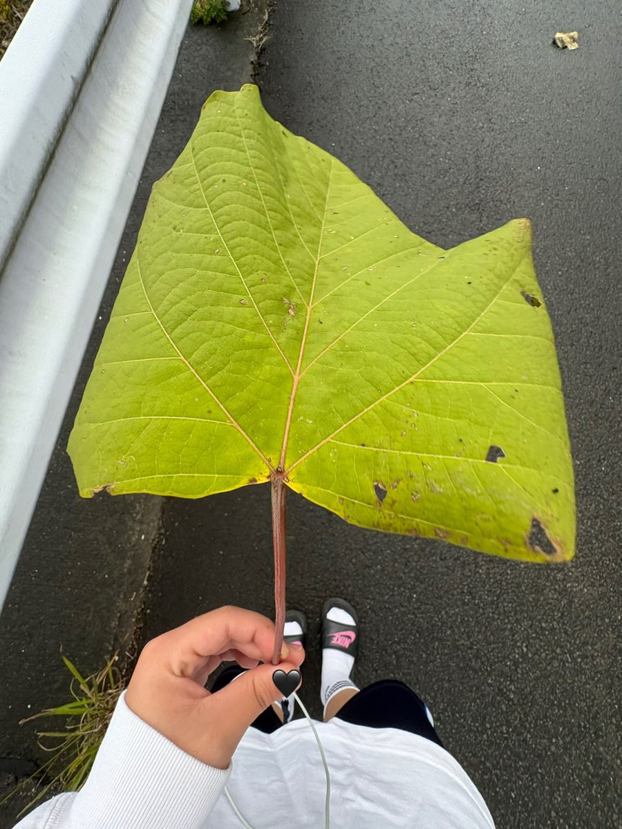 お友達ください
altあります🌕
#ボーイッシュ 
#レズビアンさんと繋がりたい