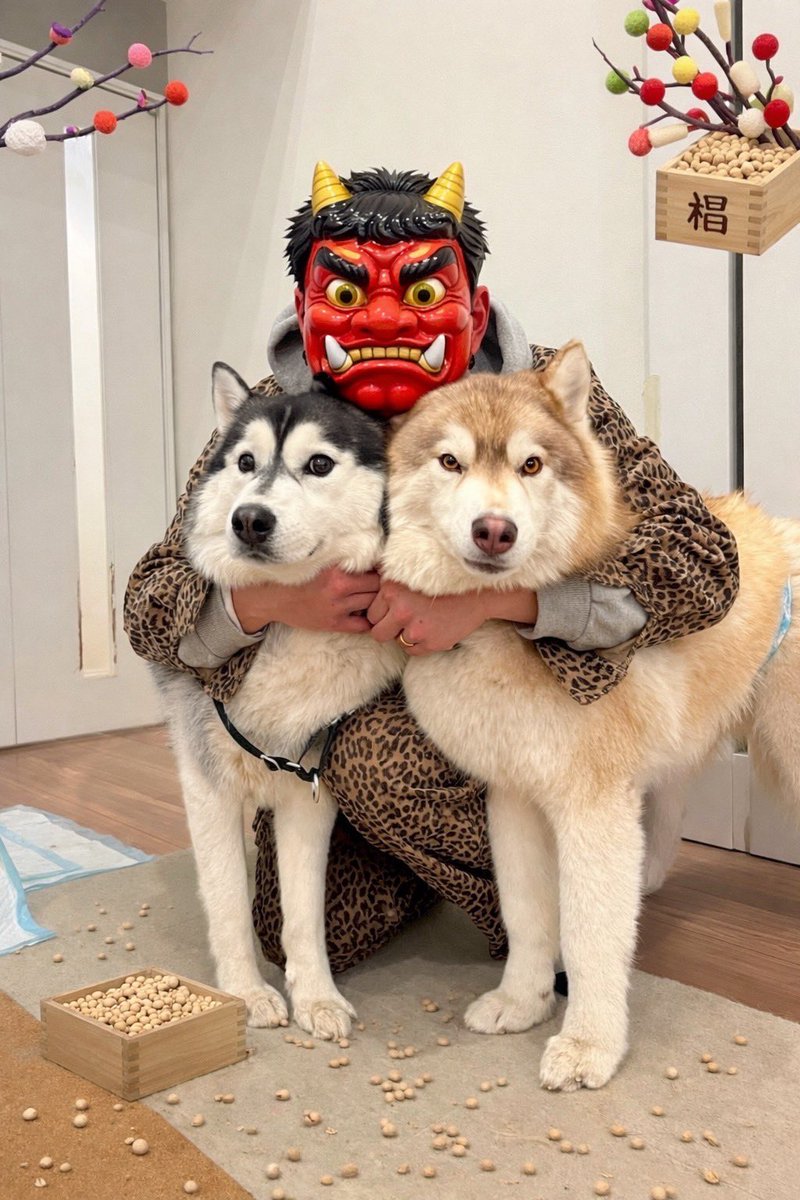 茶々丸チャチャチャ👐 (@chacha_maru1113) / Posts / X