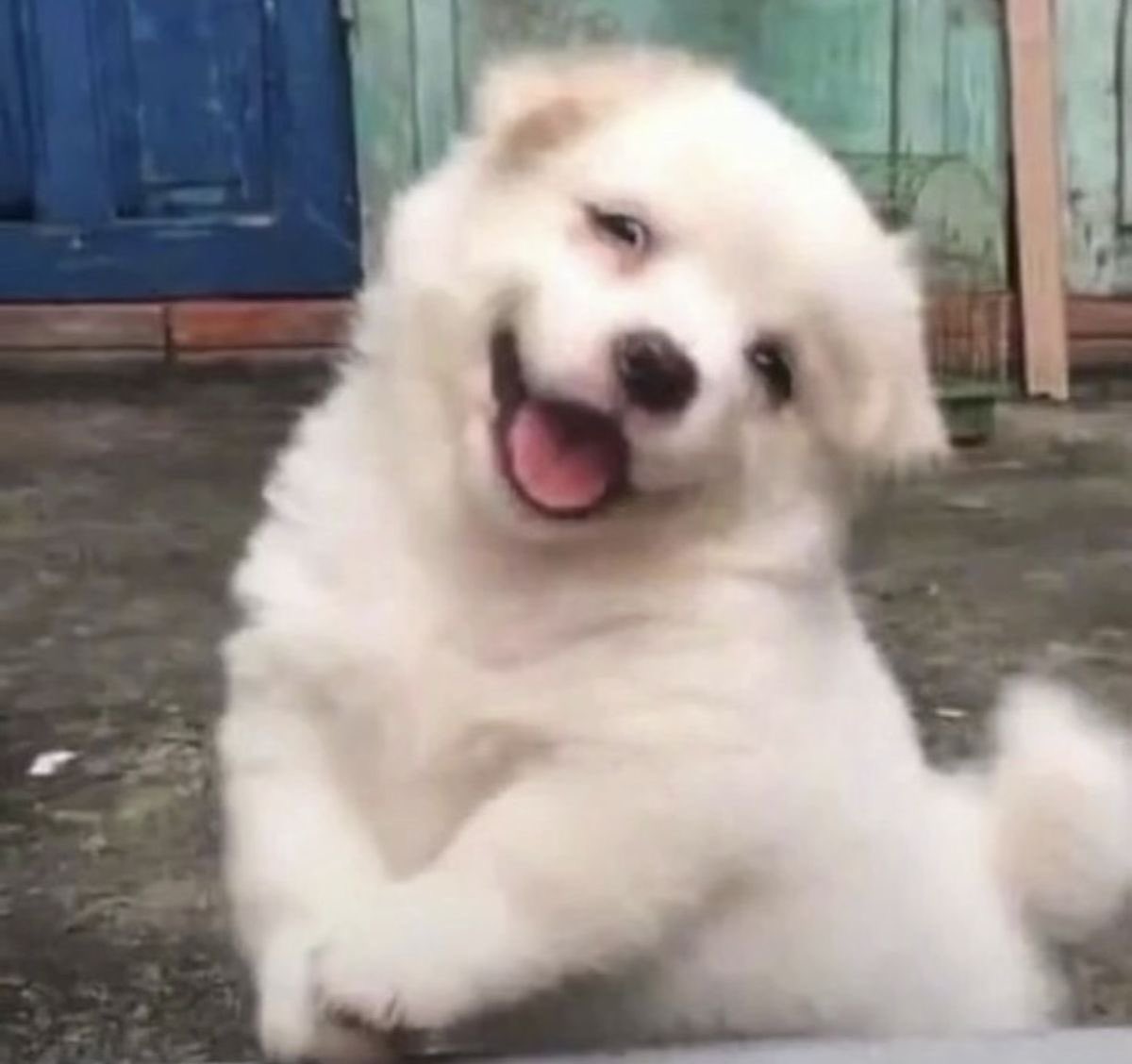 skybluenoni's tweet image. แยกม้ะออก น่ออีกแหยะะ