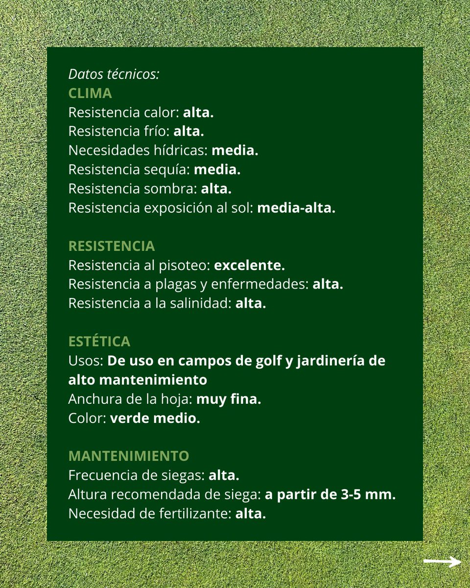 Tepeservi tweet media