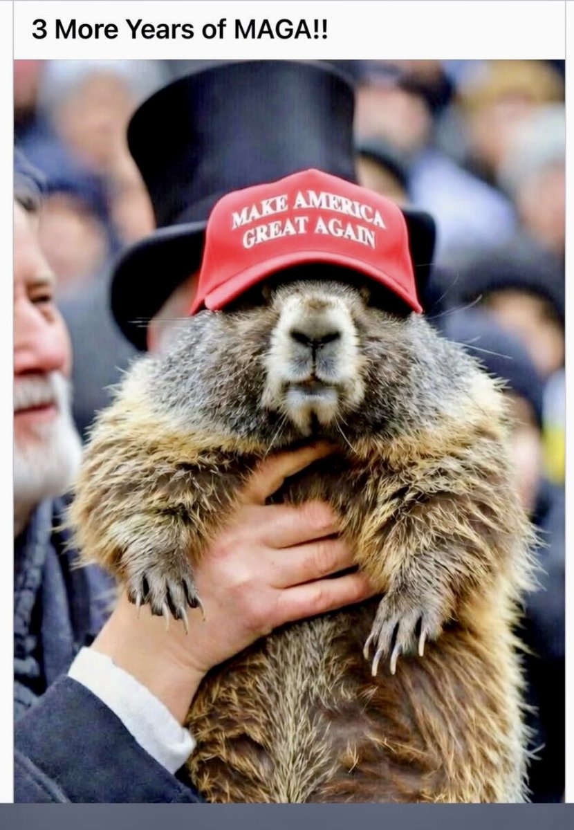 Jan2ap's tweet image. 6 more weeks of winter and 3 more years of Donald Trump! MAGA! Lets Go!