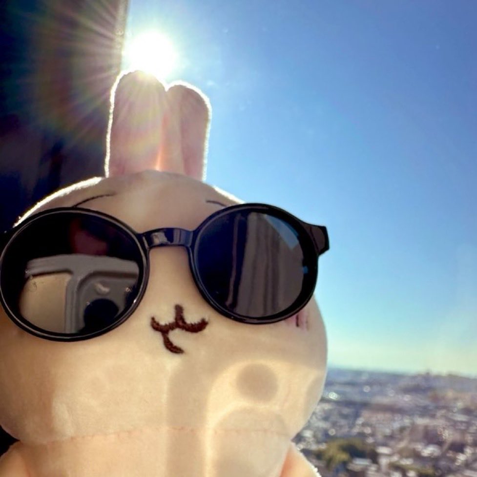 uuu_uuurrraaa_6's tweet photo. ☀️🐰🌟 https://t.co/6T9bGEf6i9