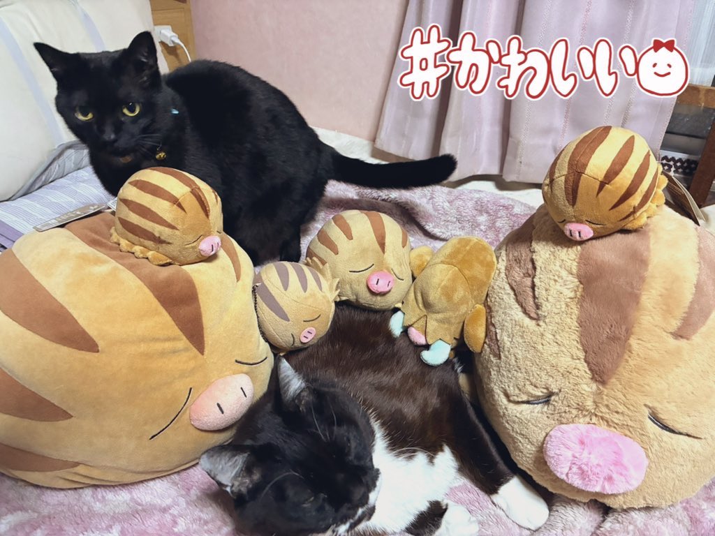 そねざき tweet media