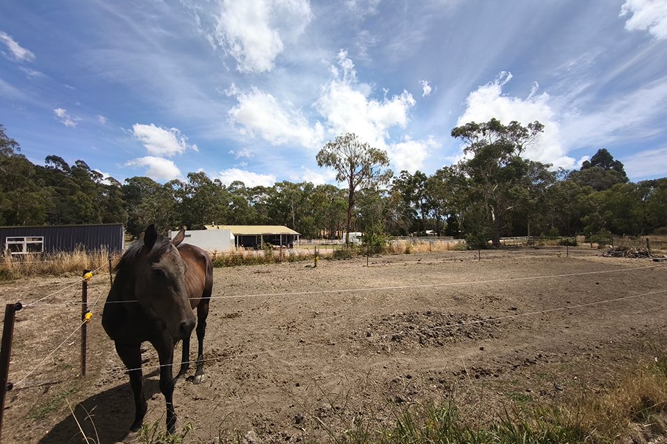 今回のタスマニア訪問の最大の目的はYassy牧場の訪問。
以前はデボンポートの東側で牧場を借りていた西谷調教師ですが、今はデボンポートの少し南に牧場を開いているそうです。面積は東京ドーム1個分ほどあるんだとか！