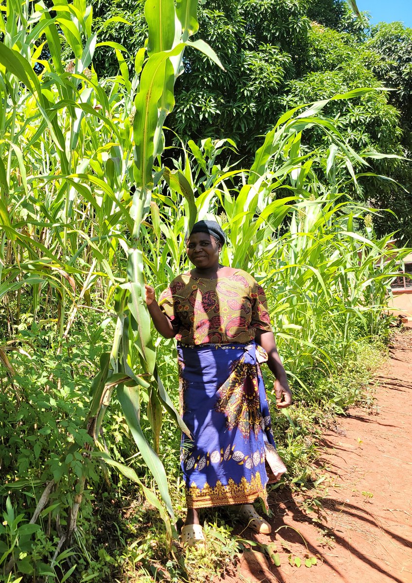 TSURO Trust tweet media