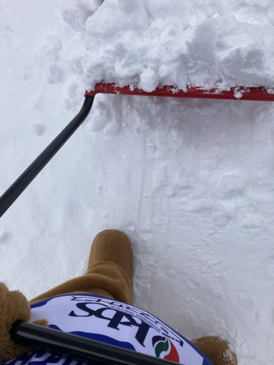 【公式】クイッキー・デッチ tweet media