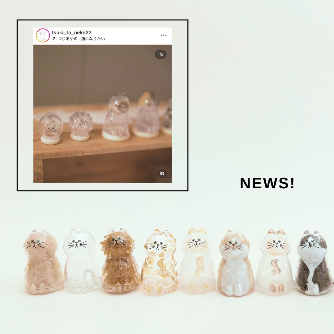 うちの子のけだまだま (@kedamastudio) / Posts / X