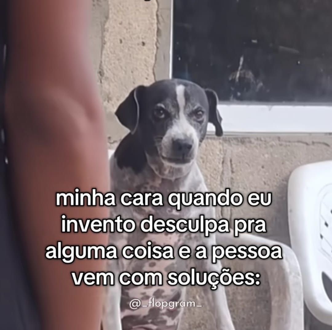 paginalixo1's tweet image. 