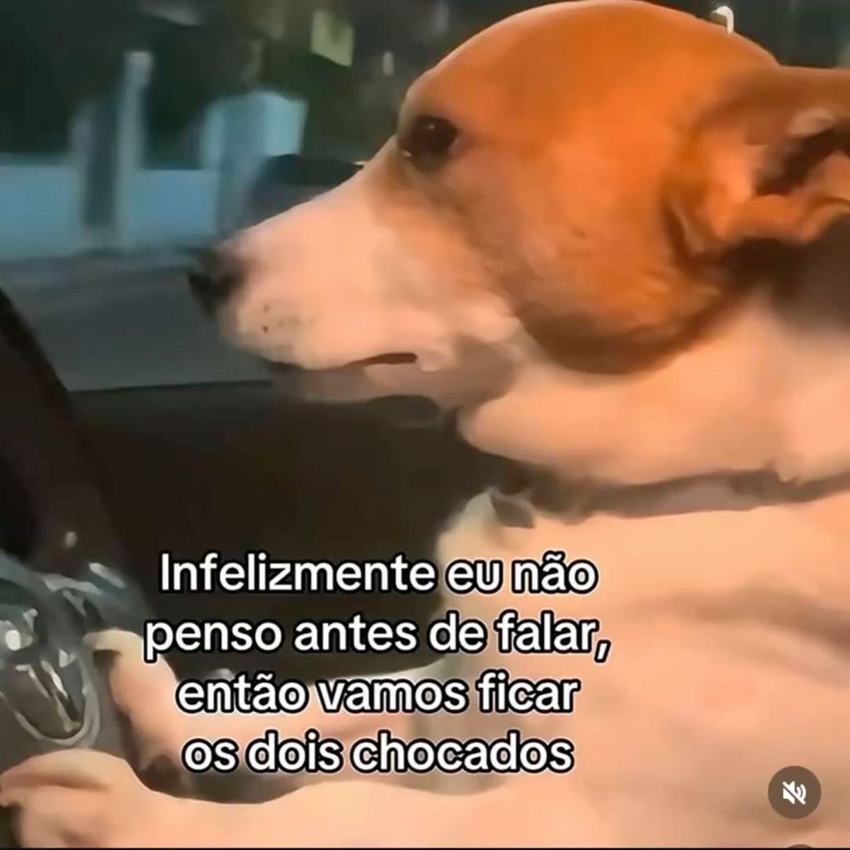 paginalixo1's tweet photo. https://t.co/4UcklV5r1i