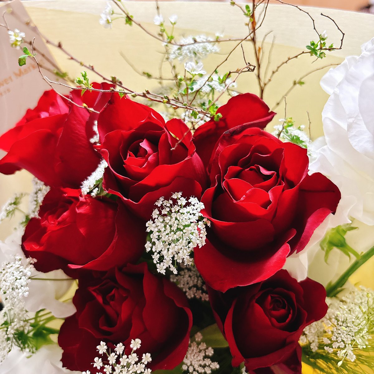 昨日、後輩が今月入籍するって話をしてくれて
(あー2月が結婚記念日の人多いなぁ。私も結婚記念日2月だし…………………………………今日では！？？？？)
となってチーズケーキ買って帰ったら夫はお花くれた