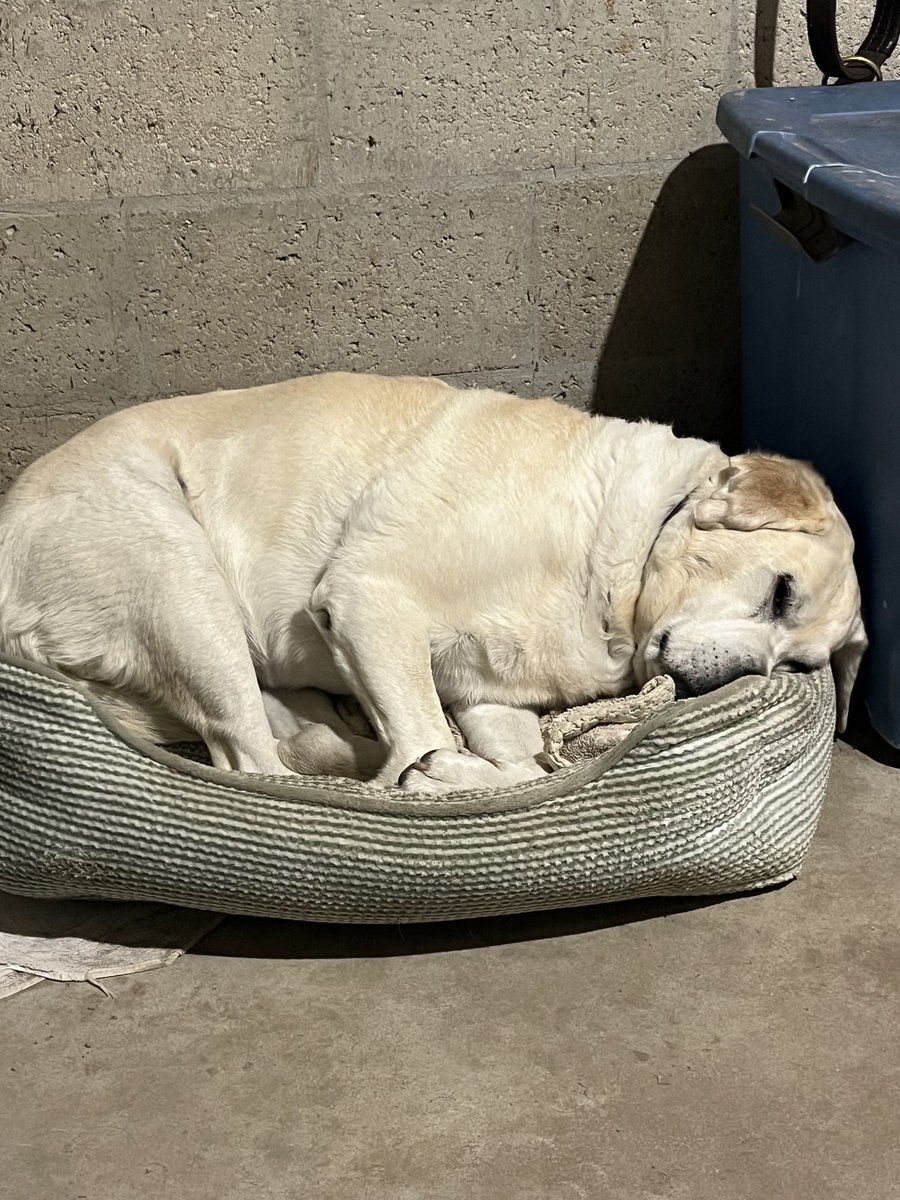 Gail Cox tweet media