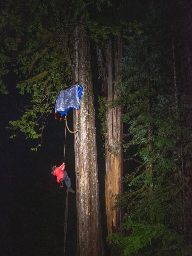 ECOWARRIORSS's tweet photo. ‘Everything is hanging by a thread’: Holding the line for Vancouver Island’s ancient trees
A forest defender tries to save an ancient Tree
The shame of Canada logging hundreds of years old Trees and arresting those trying to protect them 

Tell the world 
https://t.co/csvmcWU2EL https://t.co/4XrYPP3Gm9
