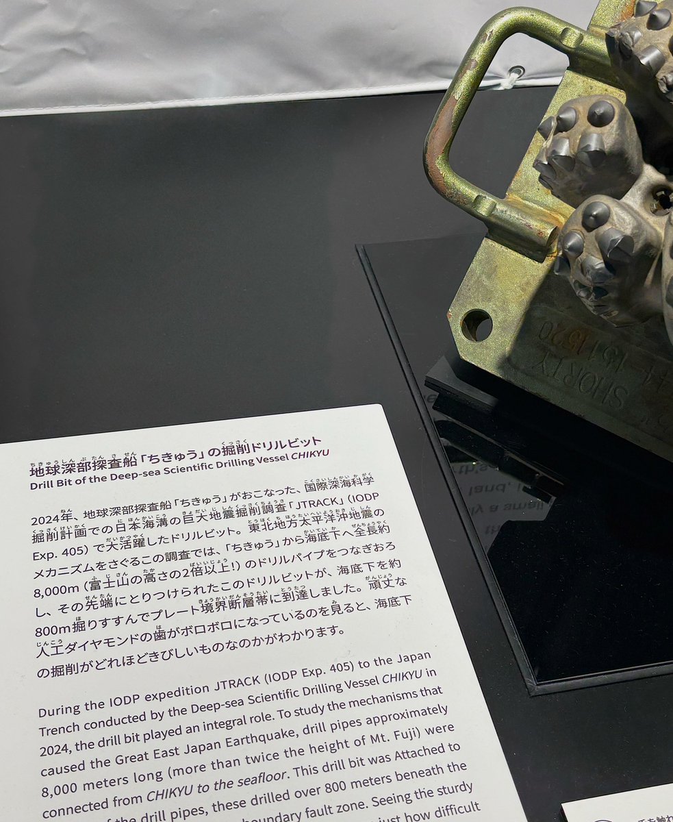 万博を全力で楽しむ人@通期パス (@banpaku_2025enj) / Posts / X