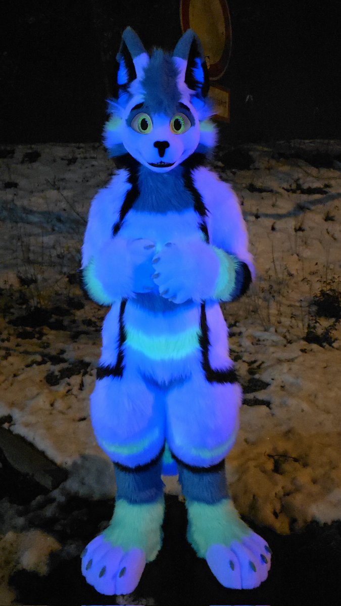 Whitewing Creations tweet media