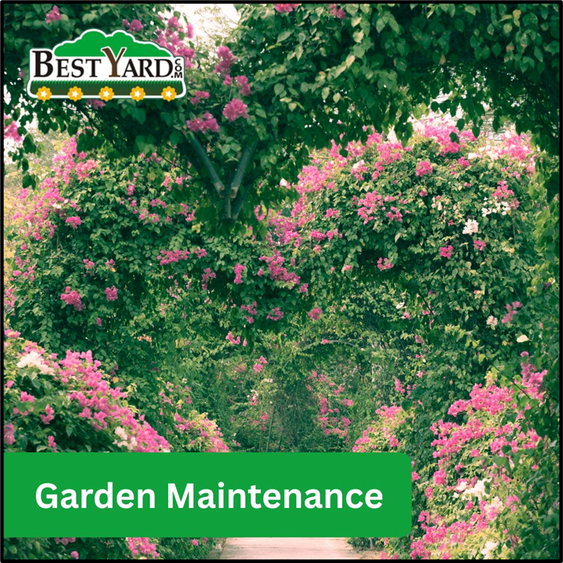 BestYard tweet media