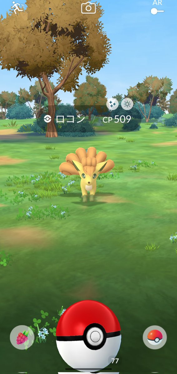 【すこん部🌽】IRIAM野干お狐ライバーの稲荷光子👑🦊🔥@今井浜マオ🌊🐢 tweet media