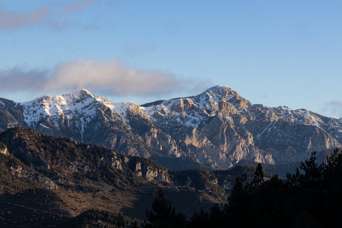 Caldeere's tweet image. El Prepirineu està esplèndid! Penyes Altes, Puigllançada i la Tosa d'Alp aquest matí des dels voltants d'Ensija.