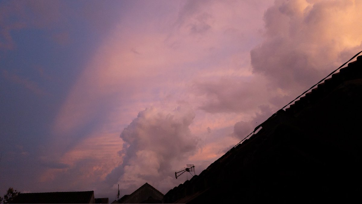 Nora 🍉 tweet media