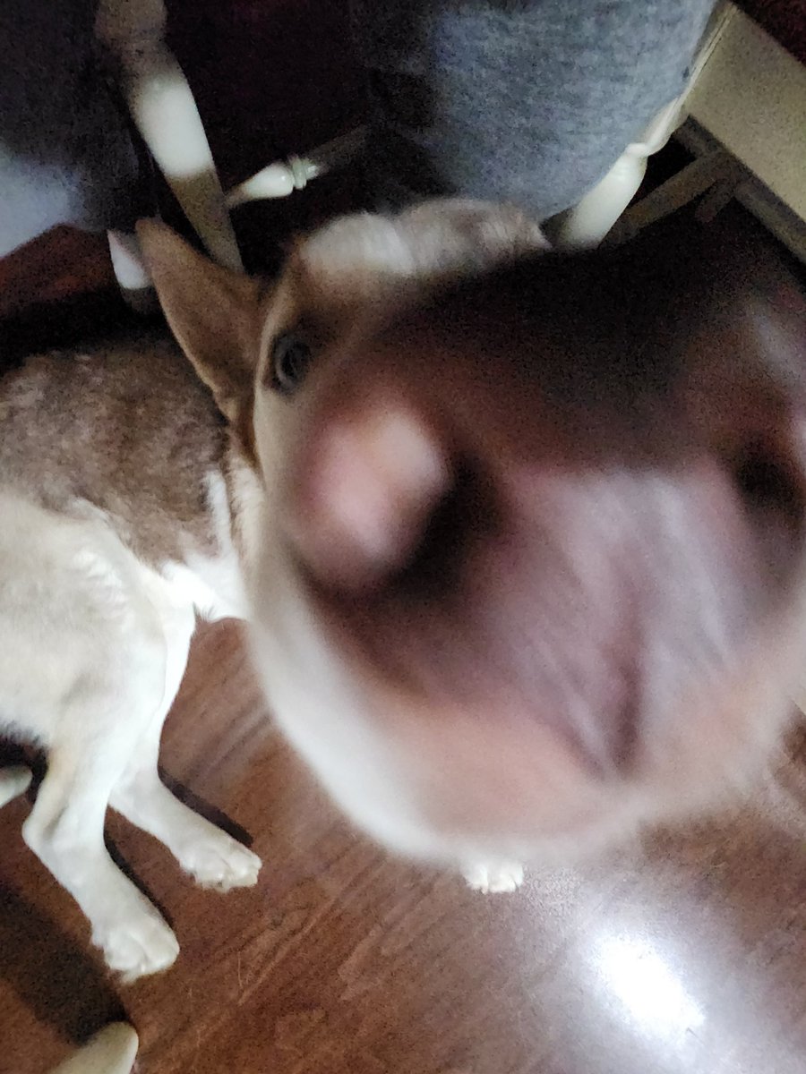 fops lite tweet media