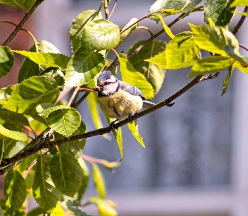 Good #morning #Dublin ya big ride 😘