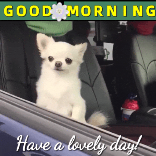 Thank you for visiting Daily Favor Blog #Maryland  ... favored1-dailyfavor.blogspot.com