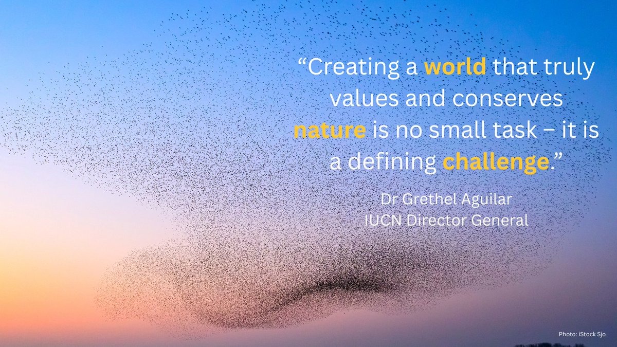 To value and conserve nature we need to reshape the relationship between people and the natural world. 

IUCN’s Strategic Vision set out our vision for “a just world that values and conserves #nature” while the IUCN Programme 2026 – 2029 defines our implementation plan.

Discover