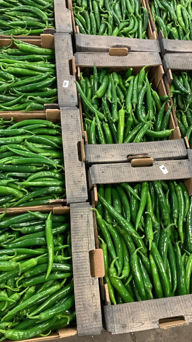 NaturaFirst's tweet photo. New arrival to battle the cold weather!! ❄️🥶 #Pepperfectness #Chillicious #NicolasGarden
🥵🌶️😍🤩 https://t.co/x8G4blHVrC
