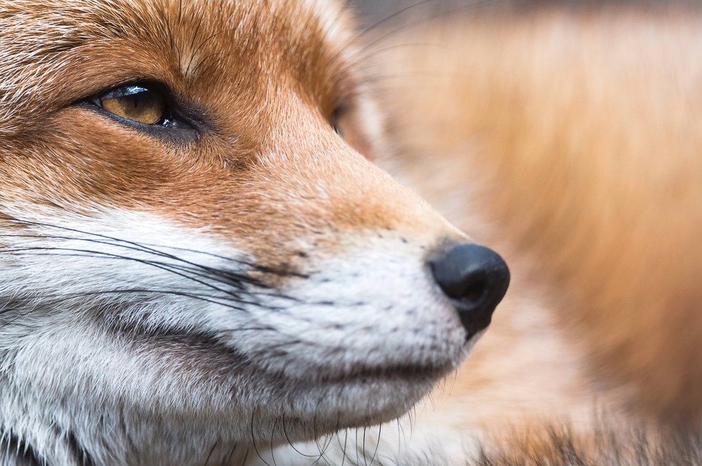 Richard Bowler tweet media