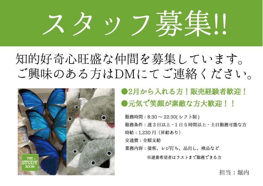 THESTUDYROOMuen's tweet photo. 上野店、スタッフ募集です！
スタディールームが好きなあなた！
一歩踏み出してみませんか？

2月から入れる方、
話すこと、知ること、学ぶこと。が好きな方、大歓迎です。

みなさま、例によって拡散お願い致します✨✨ https://t.co/8RYMz88Ux5