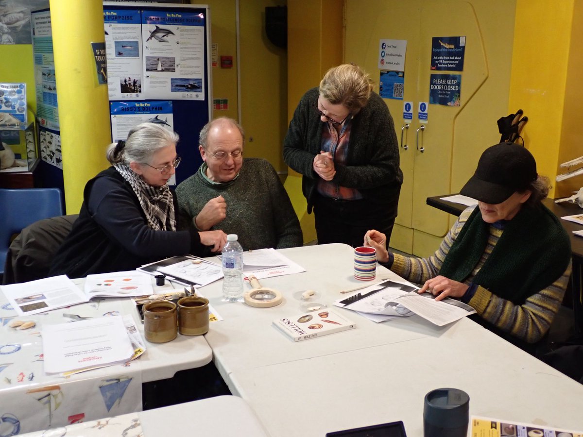 Cardiff Curator tweet media