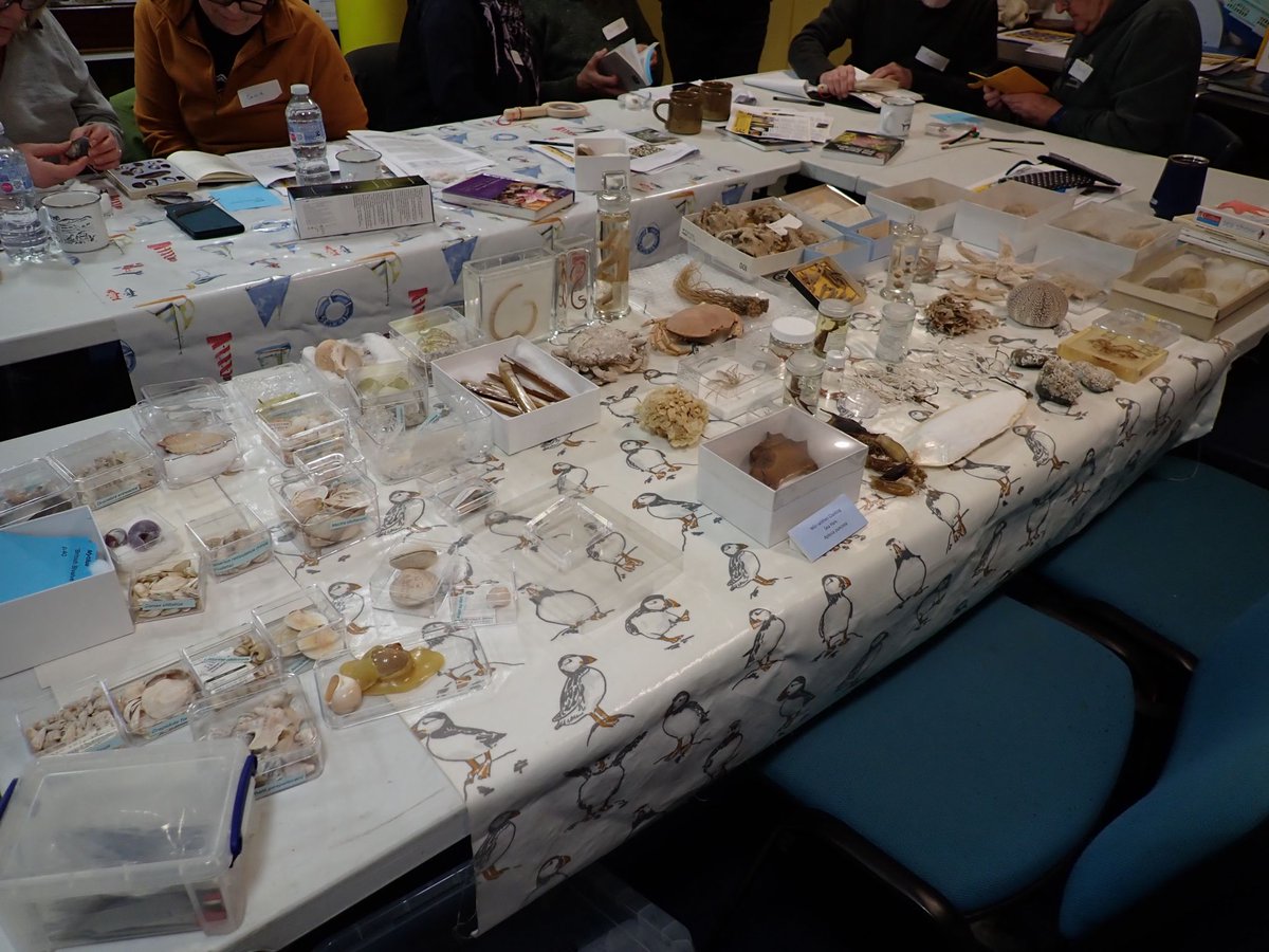 Cardiff Curator tweet media