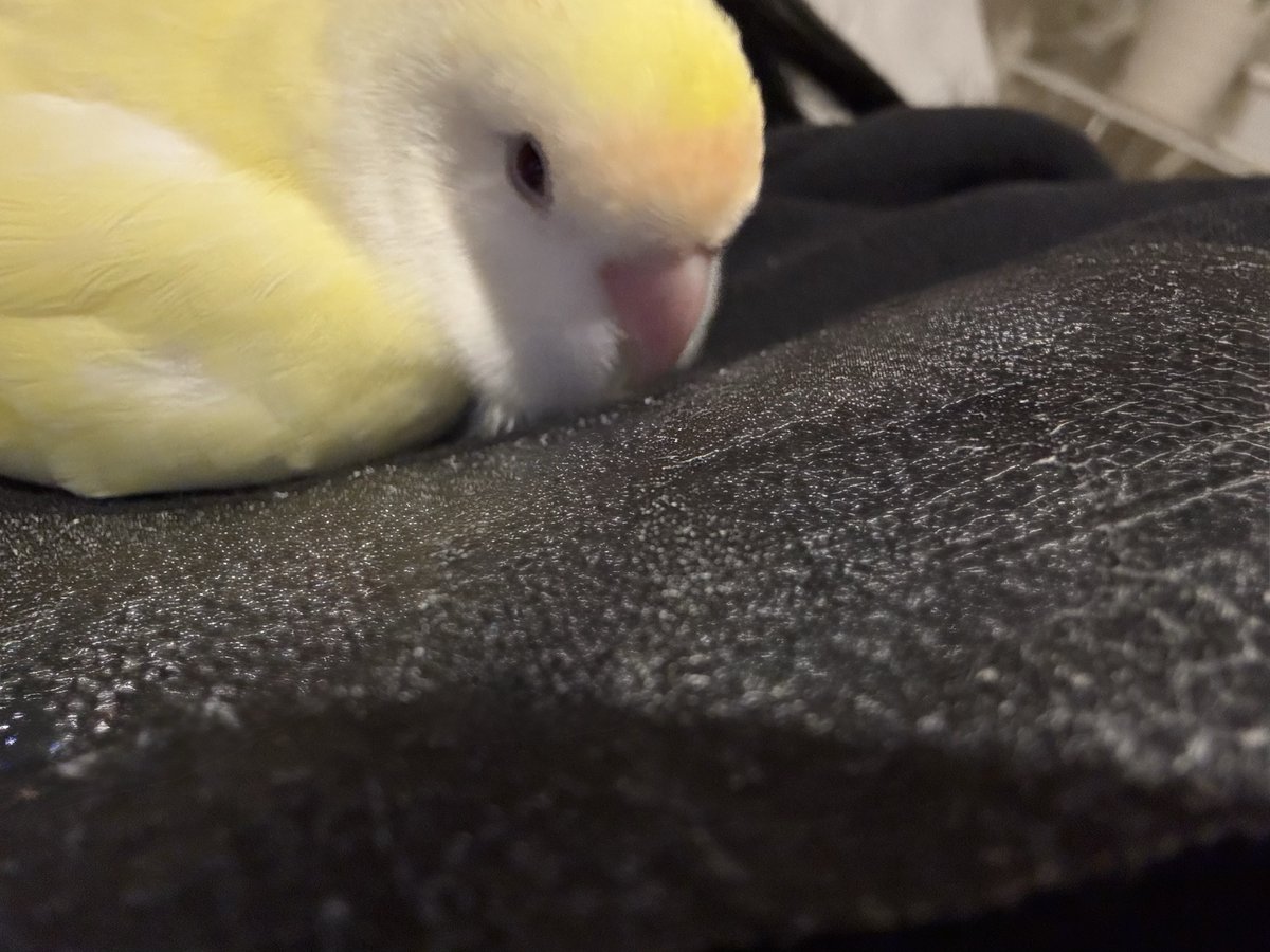 impam_group's tweet photo. お疲れ様ルン🦭♪

繁忙期を乗り越え、比較的落ち着いた月になってきました😊
2月に突入したばかりですが、気を引き締めて
業務に取り掛かりたいと思います💪

明日もよろしくお願いいたします✨

#企業公式がお疲れ様を言い合う 
#企業公式相互フォロー https://t.co/1qMrjxeWxz