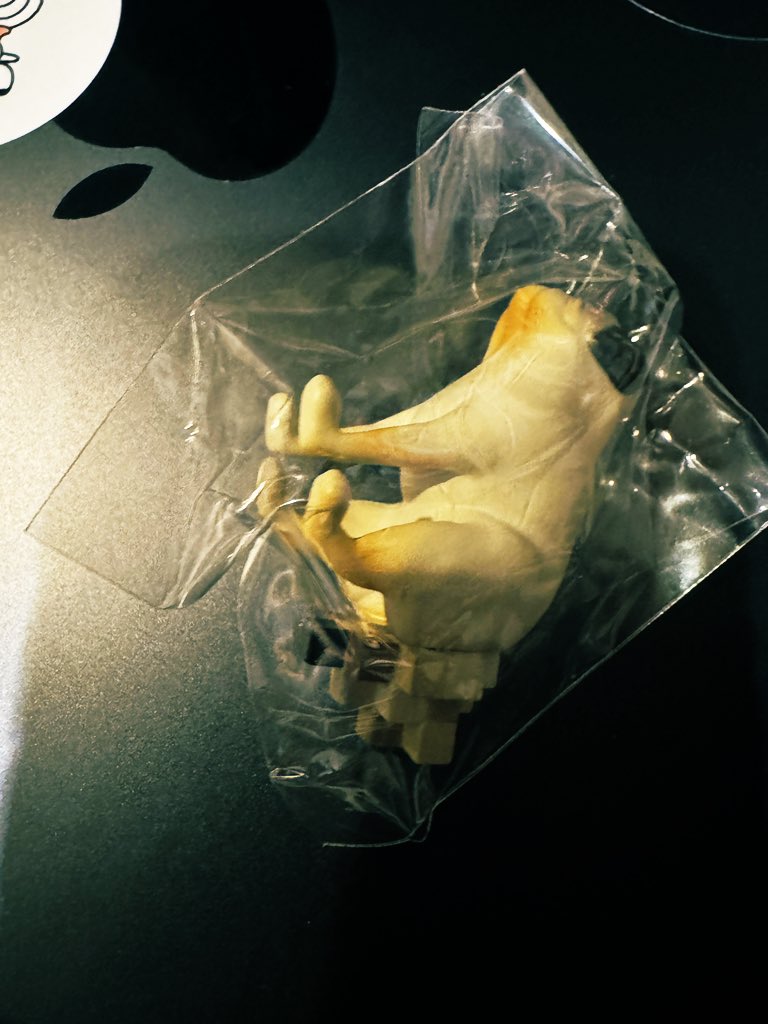 morimarimo21's tweet image. 昨日当たったガチャ、まだ可愛い