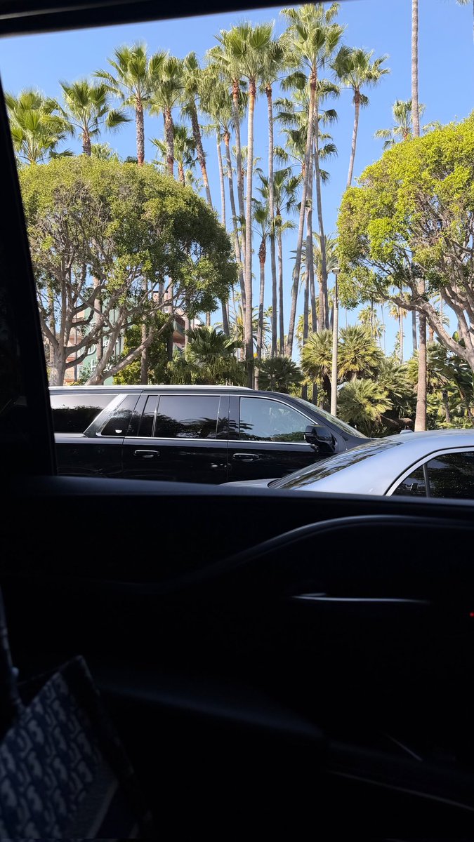 𝚕𝚒𝚕𝚢 𝚌𝚑𝚎𝚎 tweet media