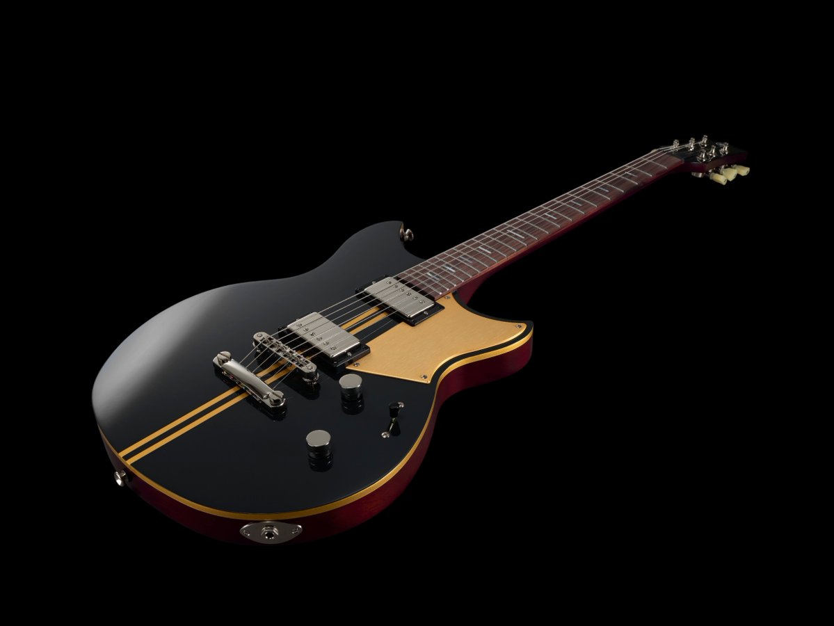 REVSTAR PROFESSIONAL ] ▷▷▷ RSP20X ◁◁◁ ラスティブラス