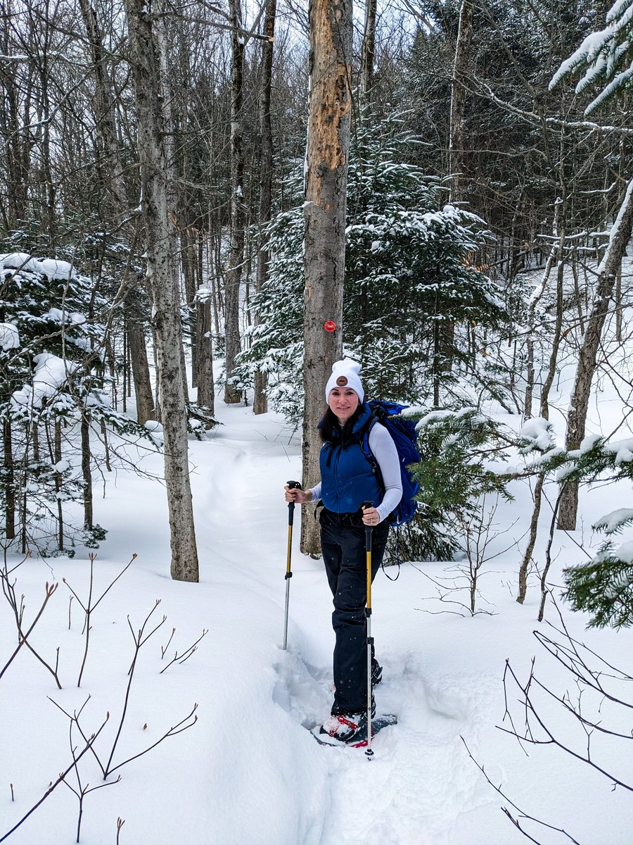 MAGCOMSEN tweet media