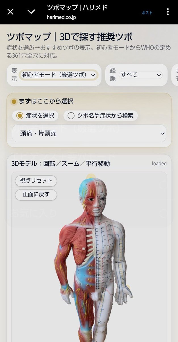 こどはり🦔🌿 tweet media