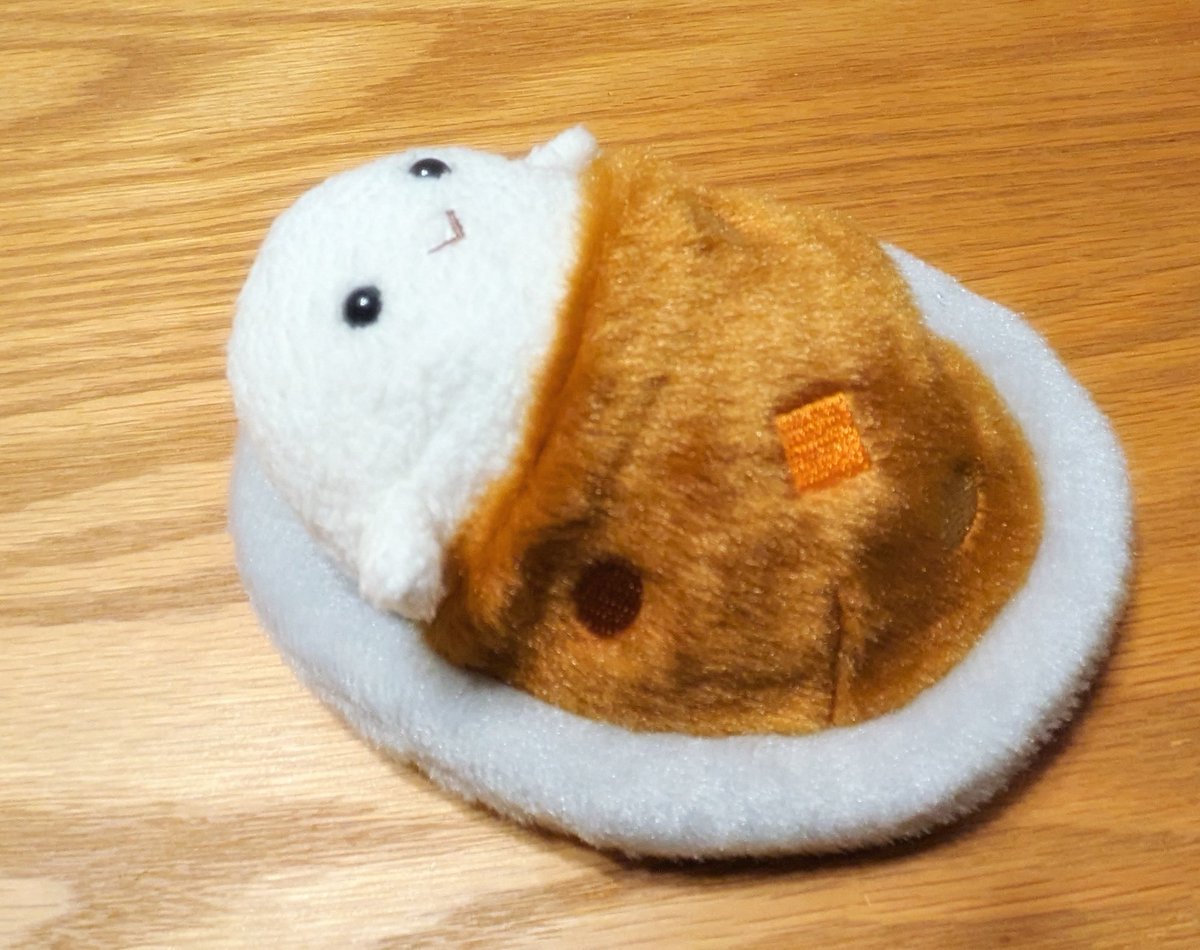 この写真を見るまでは容認されなさそうな日本語の文「かわいいライスが毛深いカレーの中で寝ている。」