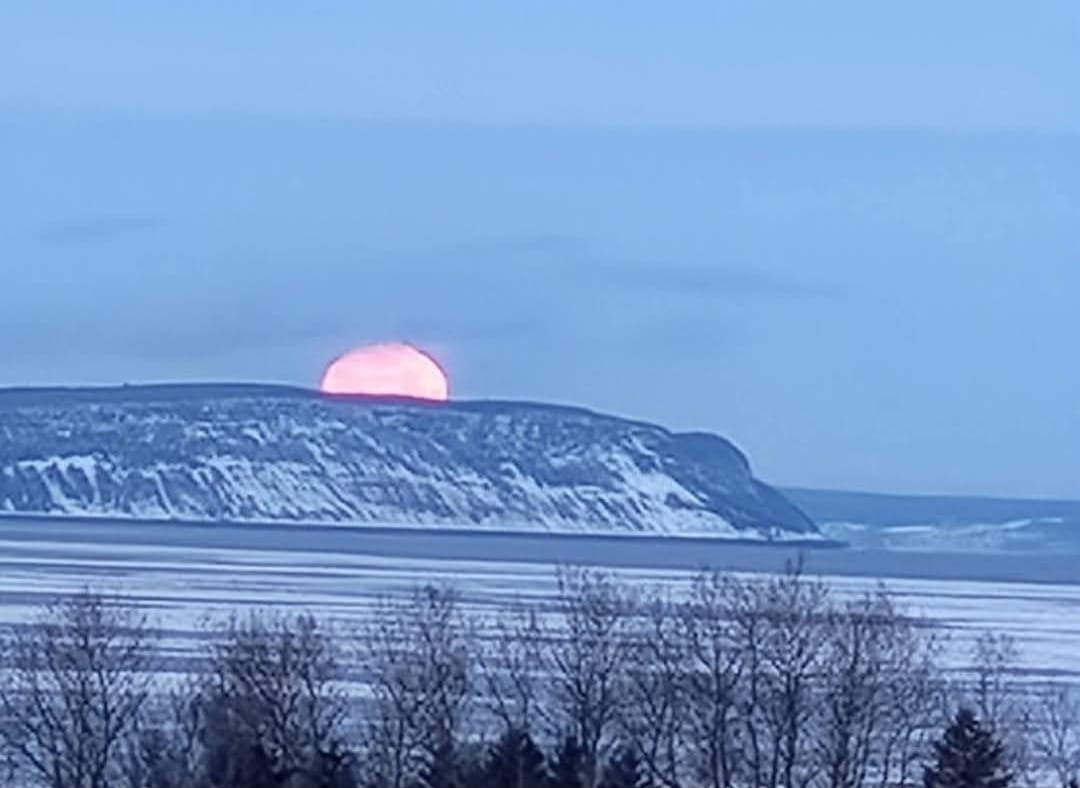 Alom Howlather tweet media